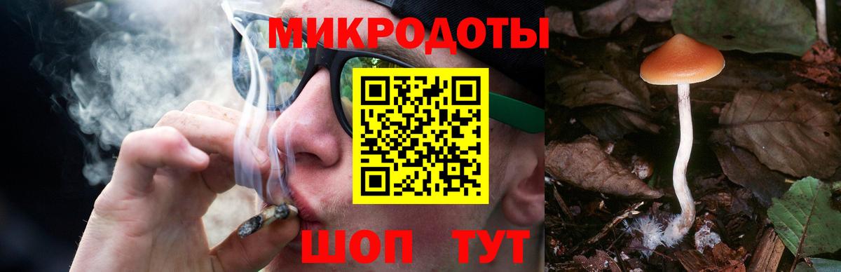 Галлюциногенные грибы Magic Shrooms Зеленодольск